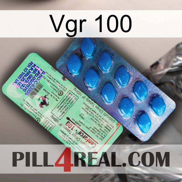 Vgr 100 new02